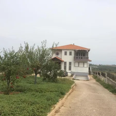 Kleoni's Corinth