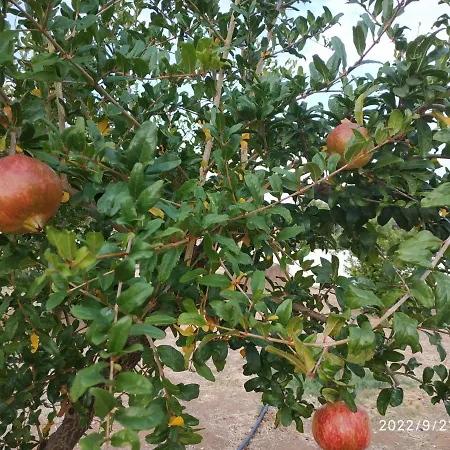 بيت للعطل Kleoni's