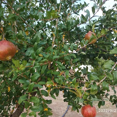 Casa vacanze Kleoni's