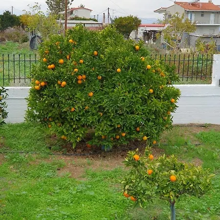בית נופש Kleoni's Corinth