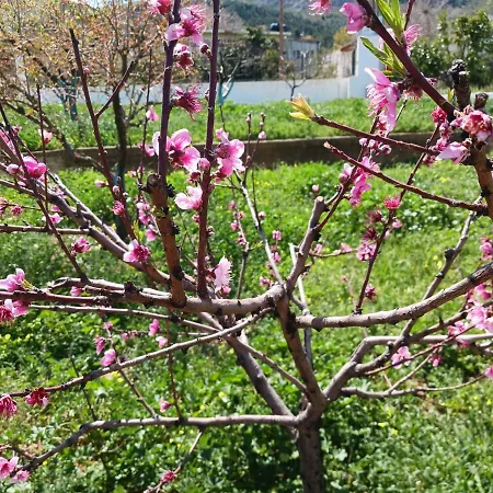 Kleoni's بيت للعطل Corinth