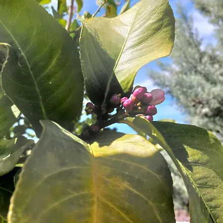 Kleoni's بيت للعطل Corinth
