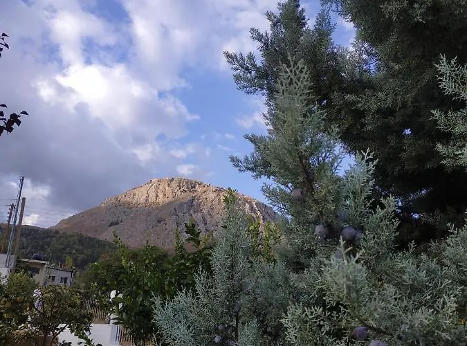 Kleoni's Tatil Evi *