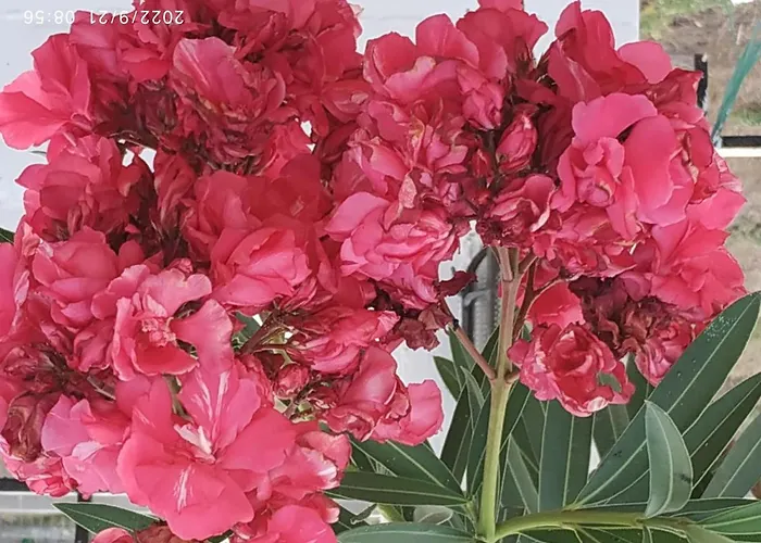 Kleoni's Σπίτι διακοπών Corinth