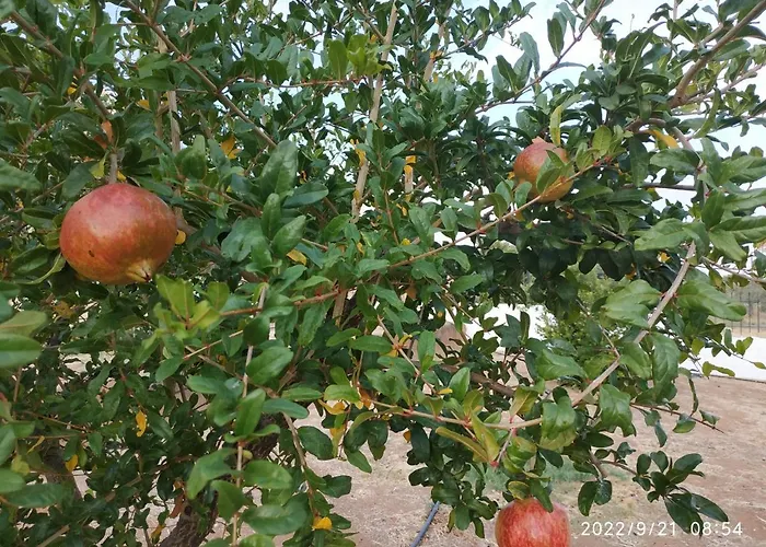Σπίτι διακοπών Kleoni's