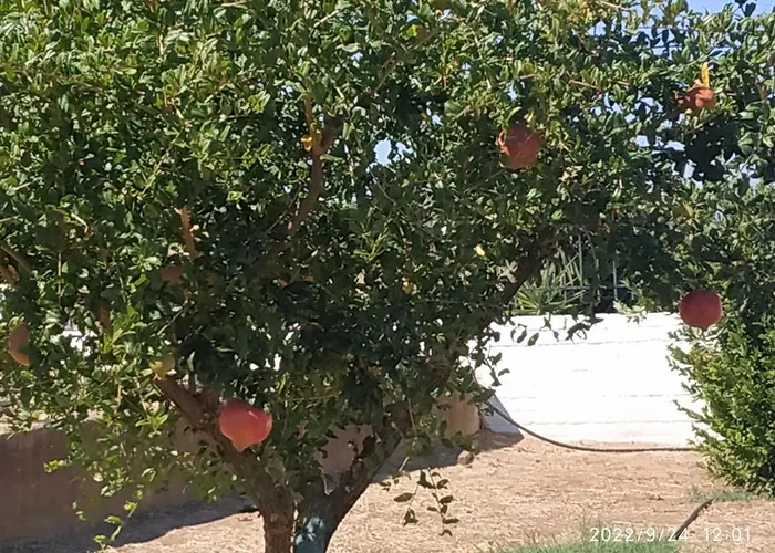 Σπίτι διακοπών Kleoni's Corinth