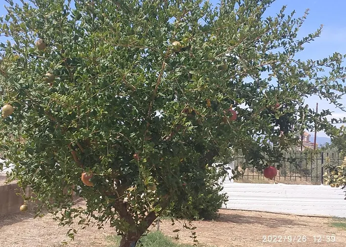 Σπίτι διακοπών Kleoni's Corinth