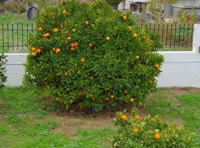 Σπίτι διακοπών Kleoni's Corinth