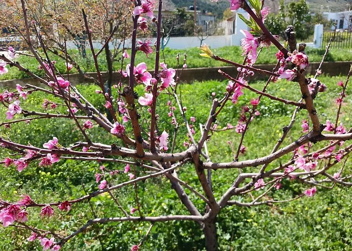 Kleoni's Σπίτι διακοπών Corinth