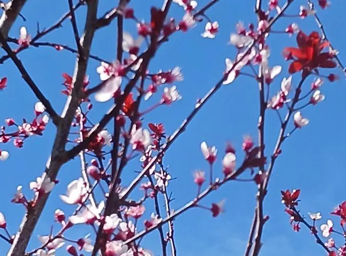 Σπίτι διακοπών Kleoni's Corinth